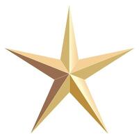 Gold Star Isolated on White Background vector