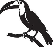 Toucan Silhouette Illustration White Background vector