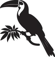 Toucan Silhouette Illustration White Background vector