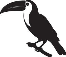 Toucan Silhouette Illustration White Background vector