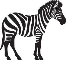 Zebra Silhouette Illustration White Background vector