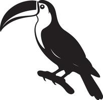 Toucan Silhouette Illustration White Background vector