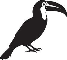 Toucan Silhouette Illustration White Background vector