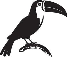 Toucan Silhouette Illustration White Background vector