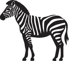 Zebra Silhouette Illustration White Background vector