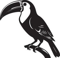 Toucan Silhouette Illustration White Background vector