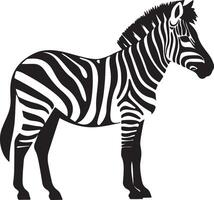 Zebra Silhouette Illustration White Background vector