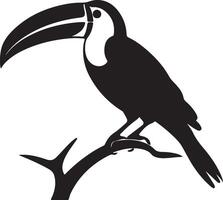 Toucan Silhouette Illustration White Background vector