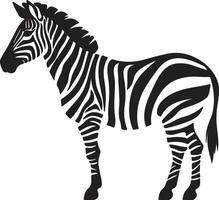 Zebra Silhouette Illustration White Background vector