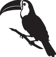 Toucan Silhouette Illustration White Background vector