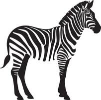 Zebra Silhouette Illustration White Background vector