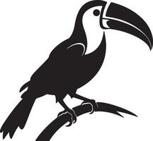 Toucan Silhouette Illustration White Background vector