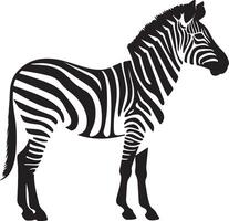 Zebra Silhouette Illustration White Background vector