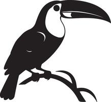 Toucan Silhouette Illustration White Background vector