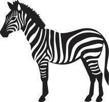 Zebra Silhouette Illustration White Background vector