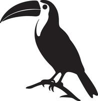 Toucan Silhouette Illustration White Background vector