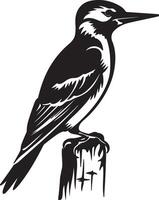 pájaro carpintero silueta ilustración blanco antecedentes vector