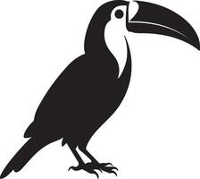 Toucan Silhouette Illustration White Background vector