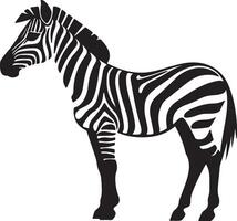 Zebra Silhouette Illustration White Background vector