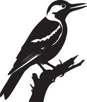 Woodpecker Silhouette Illustration White Background vector