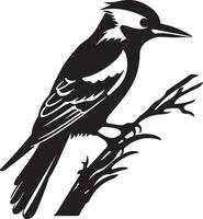 Woodpecker Silhouette Illustration White Background vector