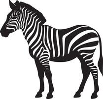 Zebra Silhouette Illustration White Background vector