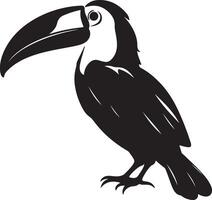 Toucan Silhouette Illustration White Background vector