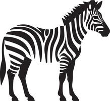 Zebra Silhouette Illustration White Background vector