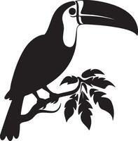 Toucan Silhouette Illustration White Background vector