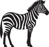 Zebra Silhouette Illustration White Background vector