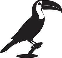 Toucan Silhouette Illustration White Background vector