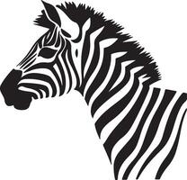 Zebra Silhouette Illustration White Background vector