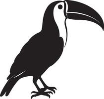 Toucan Silhouette Illustration White Background vector