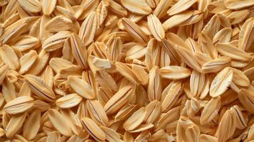 Detailed Close-up of Raw Unrolled Oats photo