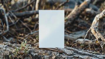 minimalista saludo tarjeta de cerca foto