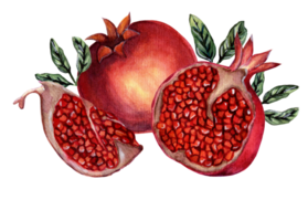 Fresh ripe pomegranate whole and cut into pieces with seeds and leaves. Watercolor pomegranate illustration isolated. Drawn by hand. png