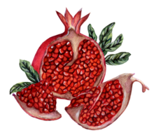 Fresh ripe pomegranate cut into pieces with seeds and leaves. Watercolor illustration of juicy pomegranate slices. Isolated. Drawn by hand. png