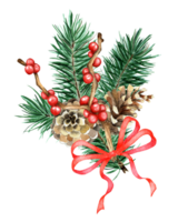 Watercolor Christmas composition with fir branches, cones and red ribbon. Hand painted traditional branches of Holly, Ilex, pine isolated. Drawn by hand. png