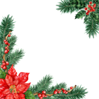 Noël Cadre avec sapin, pin branches, houx brindilles, chêne vert et poinsettia. aquarelle illustration de une coin Cadre avec pin aiguilles, baies et feuilles. isolé. tiré par main. png