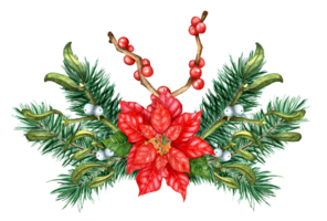 Christmas bouquet of fir branches, mistletoe, poinsettia, Holly, Ilex. Watercolor illustration of festive decor from branches of winter plants. Isolated. Drawn by hand. png