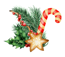 Decor for Christmas and New Years. Watercolor illustration of decoration of fir branches, holly, ilex, lollipop cane and gingerbread. Isolated. Drawn by hand. png