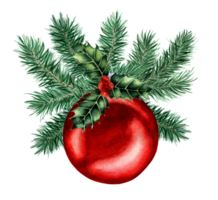 Christmas watercolor illustration of red ball in fir branches and holly. Festive decor for the Christmas tree isolated. Drawn by hand. png