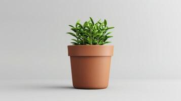 Realistic Plant Pot photo