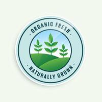 organic fresh naturally grown food label design vector