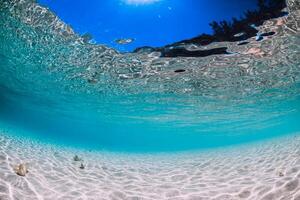Blue ocean underwater in tropics with sand in Hawaii photo