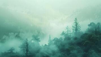 Enchanting Foggy Landscape photo