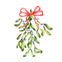 Watercolor bouquet with red bow green mistletoe with berries. Decor for winter with Merry Christmas and Happy New Year. Watercolor illustration isolated. Drawn by hand. png