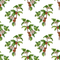 Watercolor painting pattern of coffee branches. Green, red berries, flowers and beans. Coffee plantation. Tropical agriculture. Local organic coffee farm. Isolated png