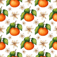 Watercolor painting pattern of ripe tangerines with green leaves and flowers. Seamless repeating juicy citrus print. Winter seasonal fruits. Vitamin food isolated png