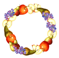 Round frame made of apples, pears and grapes. Watercolor illustration isolated. Drawn by hand. png